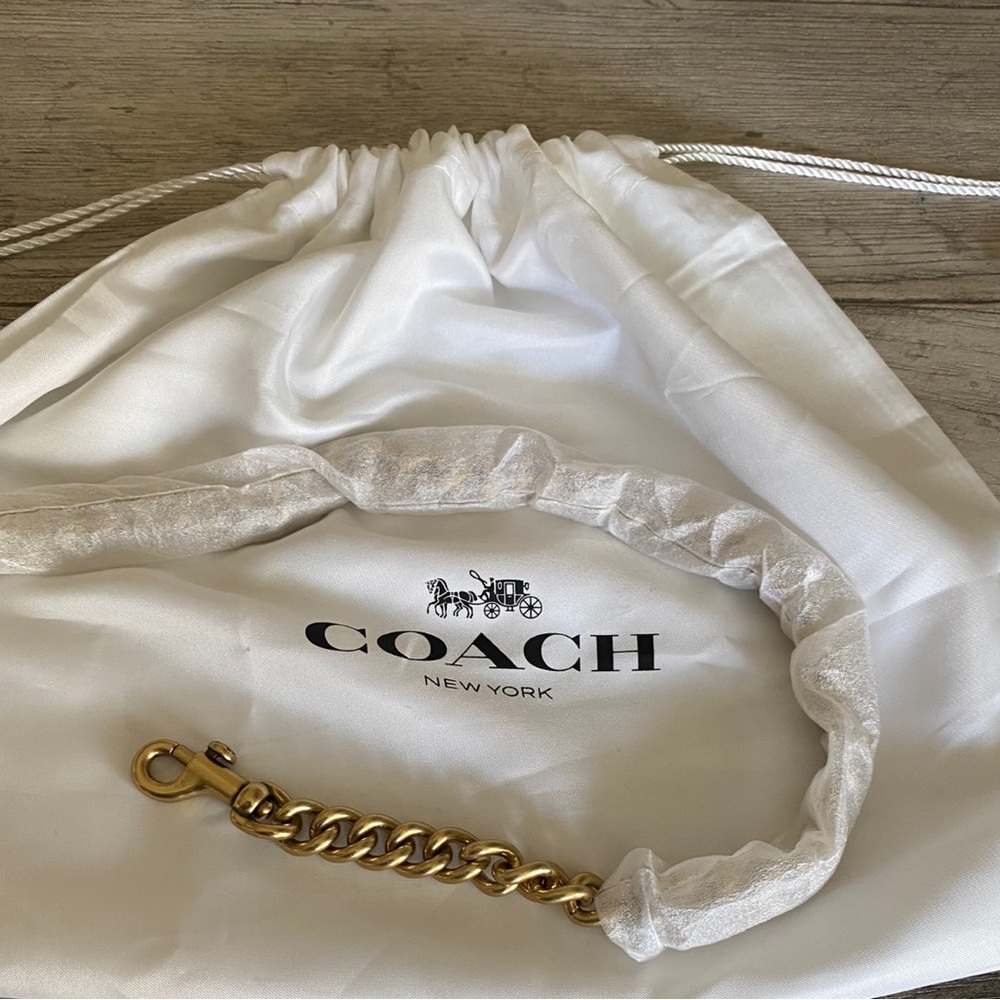 22” chain from Coach Cassie 19